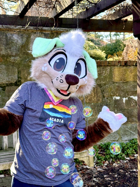 Fröhlicher, comichafter Teil-Fursuit eines Hundes mit flauschigen Wangen