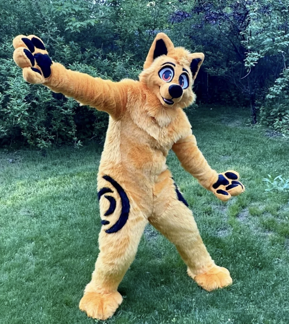 Oranger Fuchs-Fullsuit mit kürzerem Fell am Bauch und an den Armen und längerem Fell am restlichen Körper